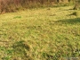 Nazwa pliku=ak_0098-m.jpg
Wielkość pliku=484KiB
Rozmiar=800x600
Data dodania=18 XI 2008 ak_0098-m.jpg