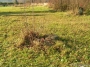 Nazwa pliku=ak_0106-m.jpg
Wielkość pliku=485KiB
Rozmiar=800x600
Data dodania=18 XI 2008 ak_0106-m.jpg