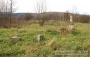 Nazwa pliku=mp-00259.jpg
Wielkość pliku=84KiB
Rozmiar=450x286
Data dodania=21 III 2009 mp-00259.jpg