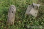 Nazwa pliku=mp-00266.jpg
Wielkość pliku=100KiB
Rozmiar=450x301
Data dodania=21 III 2009 mp-00266.jpg