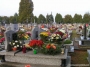 Nazwa pliku=ak-2011-ws_0037.jpg
Wielkość pliku=557KiB
Rozmiar=933x700
Data dodania=03 XI 2011 ak-2011-ws_0037.jpg