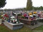 Nazwa pliku=ak-2011-ws_0041.jpg
Wielkość pliku=547KiB
Rozmiar=933x700
Data dodania=03 XI 2011 ak-2011-ws_0041.jpg