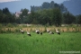 hr-2011-jesien_6051.jpg