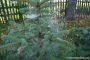 hr-2011-jesien_7492.jpg