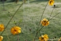 hr-2011-jesien_7524.jpg