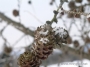 hr_2012-zima_048.jpg