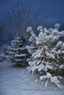 hr_2012-zima_8041.jpg