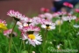 kr_2011_inne_5756.jpg