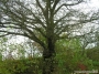 ak-2009-x-17_044.jpg