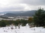 ak-2009-x-17_129.jpg