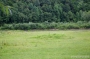Nazwa pliku=gb-2789.jpg
Wielkość pliku=307KiB
Rozmiar=800x533
Data dodania=18 VI 2008 gb-2789.jpg