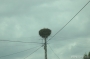 Nazwa pliku=gb-2792.jpg
Wielkość pliku=165KiB
Rozmiar=800x533
Data dodania=18 VI 2008 gb-2792.jpg
