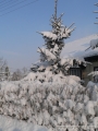 Nazwa pliku=hr_10483.jpg
Wielkość pliku=143KiB
Rozmiar=525x700
Data dodania=11 II 2010 hr_10483.jpg