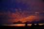 mp_09-VI-7-2596b.jpg