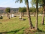 Nazwa pliku=paz_08_0015.jpg
Wielkość pliku=389KiB
Rozmiar=800x600
Data dodania=26 X 2008 paz_08_0015.jpg