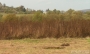 Nazwa pliku=paz_08_0048.jpg
Wielkość pliku=287KiB
Rozmiar=800x481
Data dodania=26 X 2008 paz_08_0048.jpg