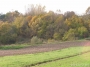 Nazwa pliku=paz_08_0057.jpg
Wielkość pliku=344KiB
Rozmiar=800x600
Data dodania=26 X 2008 paz_08_0057.jpg