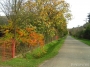 Nazwa pliku=paz_08_0070.jpg
Wielkość pliku=410KiB
Rozmiar=800x600
Data dodania=26 X 2008 paz_08_0070.jpg