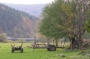 Nazwa pliku=paz_08_0114.jpg
Wielkość pliku=301KiB
Rozmiar=800x525
Data dodania=28 X 2008 paz_08_0114.jpg