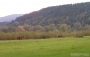 Nazwa pliku=paz_08_0115.jpg
Wielkość pliku=231KiB
Rozmiar=800x511
Data dodania=28 X 2008 paz_08_0115.jpg