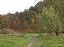 Nazwa pliku=paz_08_0119.jpg
Wielkość pliku=342KiB
Rozmiar=800x600
Data dodania=28 X 2008 paz_08_0119.jpg