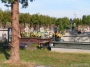 Nazwa pliku=pazdz08-0027.jpg
Wielkość pliku=373KiB
Rozmiar=800x600
Data dodania=22 X 2008 pazdz08-0027.jpg