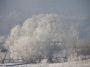 Nazwa pliku=pb_60008_zima.jpg
Wielkość pliku=246KiB
Rozmiar=900x675
Data dodania=02 II 2010 pb_60008_zima.jpg