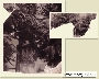Nazwa pliku=pom_aka6.gif
Wielkość pliku=73KiB
Rozmiar=365x292
Data dodania=10 II 2009 pom_aka6.gif