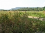 Nazwa pliku=sierp_07_045z.jpg
Wielkość pliku=288KiB
Rozmiar=800x600
Data dodania=12 VII 2008 sierp_07_045z.jpg