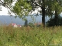 Nazwa pliku=sierp_07_059.jpg
Wielkość pliku=328KiB
Rozmiar=800x600
Data dodania=12 VII 2008 sierp_07_059.jpg
