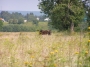 sierp_07_063.jpg