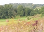 Nazwa pliku=sierp_07_074z.jpg
Wielkość pliku=323KiB
Rozmiar=800x600
Data dodania=12 VII 2008 sierp_07_074z.jpg