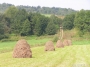 Nazwa pliku=sierp_07_080.jpg
Wielkość pliku=302KiB
Rozmiar=800x600
Data dodania=12 VII 2008 sierp_07_080.jpg