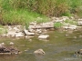 Nazwa pliku=sierp_07_104.jpg
Wielkość pliku=493KiB
Rozmiar=800x600
Data dodania=01 VII 2008 sierp_07_104.jpg