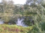 Nazwa pliku=sierp_07_131.jpg
Wielkość pliku=421KiB
Rozmiar=800x600
Data dodania=17 VII 2008 sierp_07_131.jpg