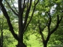 Nazwa pliku=sierp_07_141.jpg
Wielkość pliku=449KiB
Rozmiar=800x600
Data dodania=17 VII 2008 sierp_07_141.jpg