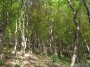 Nazwa pliku=sierp_07_143.jpg
Wielkość pliku=455KiB
Rozmiar=800x600
Data dodania=17 VII 2008 sierp_07_143.jpg