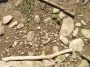 Nazwa pliku=sierp_07_144.jpg
Wielkość pliku=521KiB
Rozmiar=800x600
Data dodania=01 VII 2008 sierp_07_144.jpg