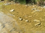 Nazwa pliku=sierp_07_150.jpg
Wielkość pliku=446KiB
Rozmiar=800x600
Data dodania=01 VII 2008 sierp_07_150.jpg