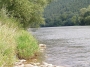 Nazwa pliku=sierp_07_155.jpg
Wielkość pliku=498KiB
Rozmiar=800x600
Data dodania=01 VII 2008 sierp_07_155.jpg