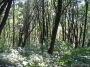 Nazwa pliku=sierp_07_1570.jpg
Wielkość pliku=442KiB
Rozmiar=800x600
Data dodania=17 VII 2008 sierp_07_1570.jpg