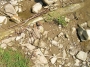 Nazwa pliku=sierp_07_158.jpg
Wielkość pliku=514KiB
Rozmiar=800x600
Data dodania=01 VII 2008 sierp_07_158.jpg