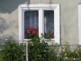 Nazwa pliku=sierp_07_190.jpg
Wielkość pliku=301KiB
Rozmiar=800x600
Data dodania=19 VI 2008 sierp_07_190.jpg