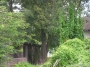 sierp_07_209.jpg