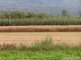 Nazwa pliku=sierp_07_215.jpg
Wielkość pliku=484KiB
Rozmiar=800x600
Data dodania=01 VII 2008 sierp_07_215.jpg