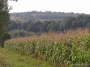 Nazwa pliku=sierp_07_226.jpg
Wielkość pliku=415KiB
Rozmiar=800x600
Data dodania=01 VII 2008 sierp_07_226.jpg
