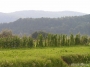 Nazwa pliku=sierp_07_228.jpg
Wielkość pliku=355KiB
Rozmiar=800x600
Data dodania=01 VII 2008 sierp_07_228.jpg
