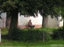 Nazwa pliku=sierp_07_229.jpg
Wielkość pliku=417KiB
Rozmiar=800x600
Data dodania=03 VII 2008 sierp_07_229.jpg