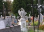 Nazwa pliku=sierp_07_274.jpg
Wielkość pliku=445KiB
Rozmiar=800x600
Data dodania=01 VII 2008 sierp_07_274.jpg
