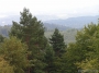 Nazwa pliku=sierp_07_342.jpg
Wielkość pliku=363KiB
Rozmiar=800x600
Data dodania=01 VII 2008 sierp_07_342.jpg